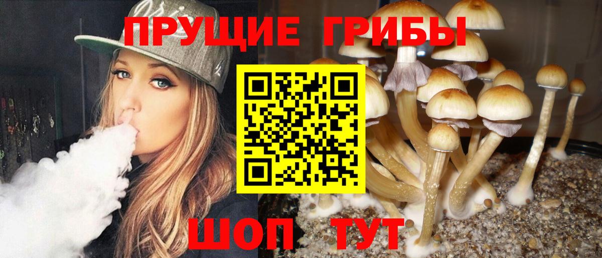 Галлюциногенные грибы Psilocybine cubensis  Вход с VPN  Морозовск 